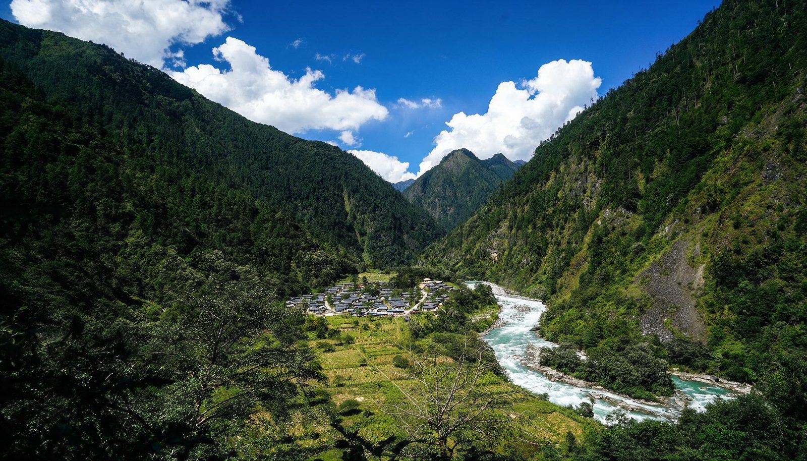 独龙江峡谷