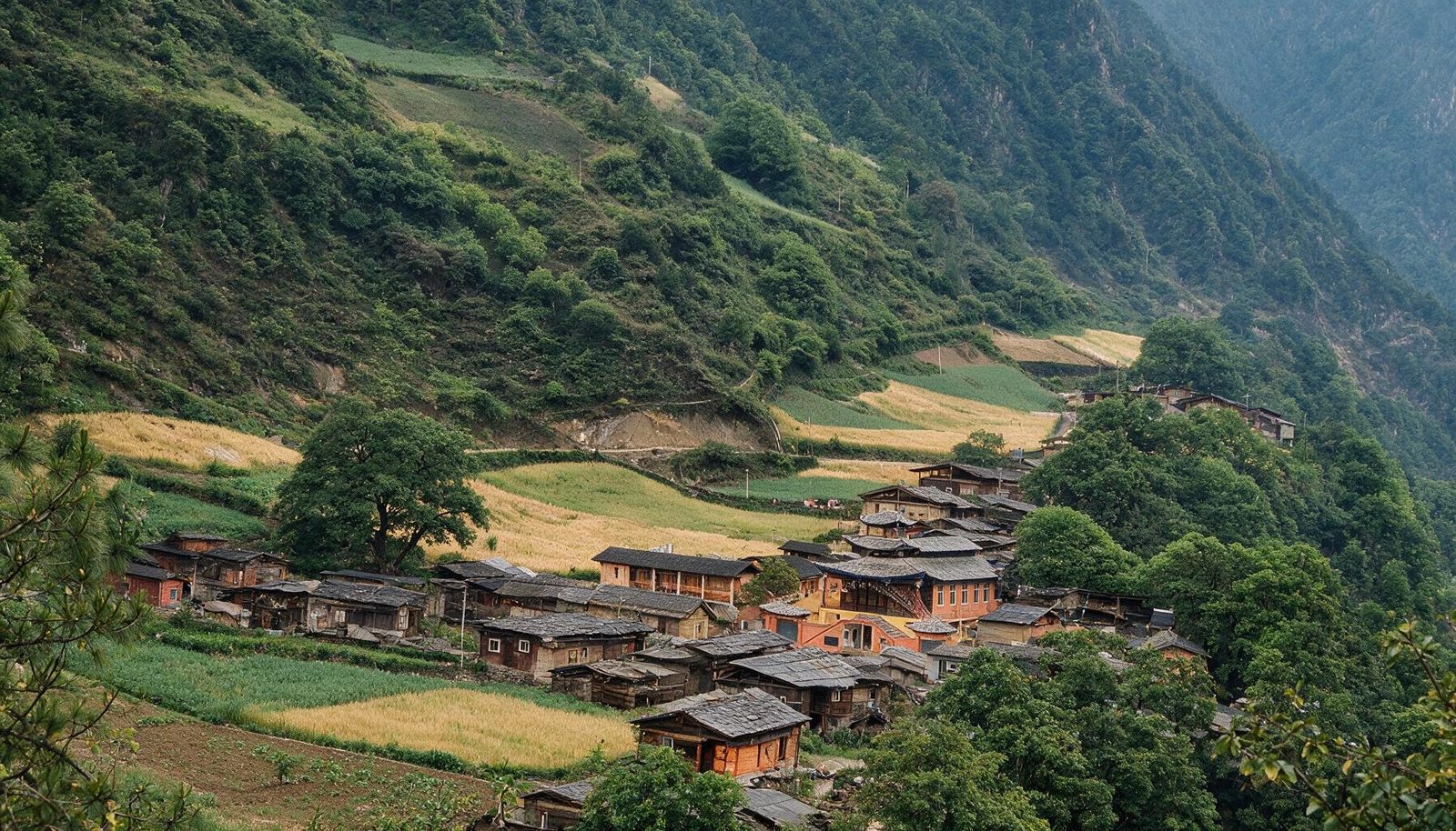 秋那桶村