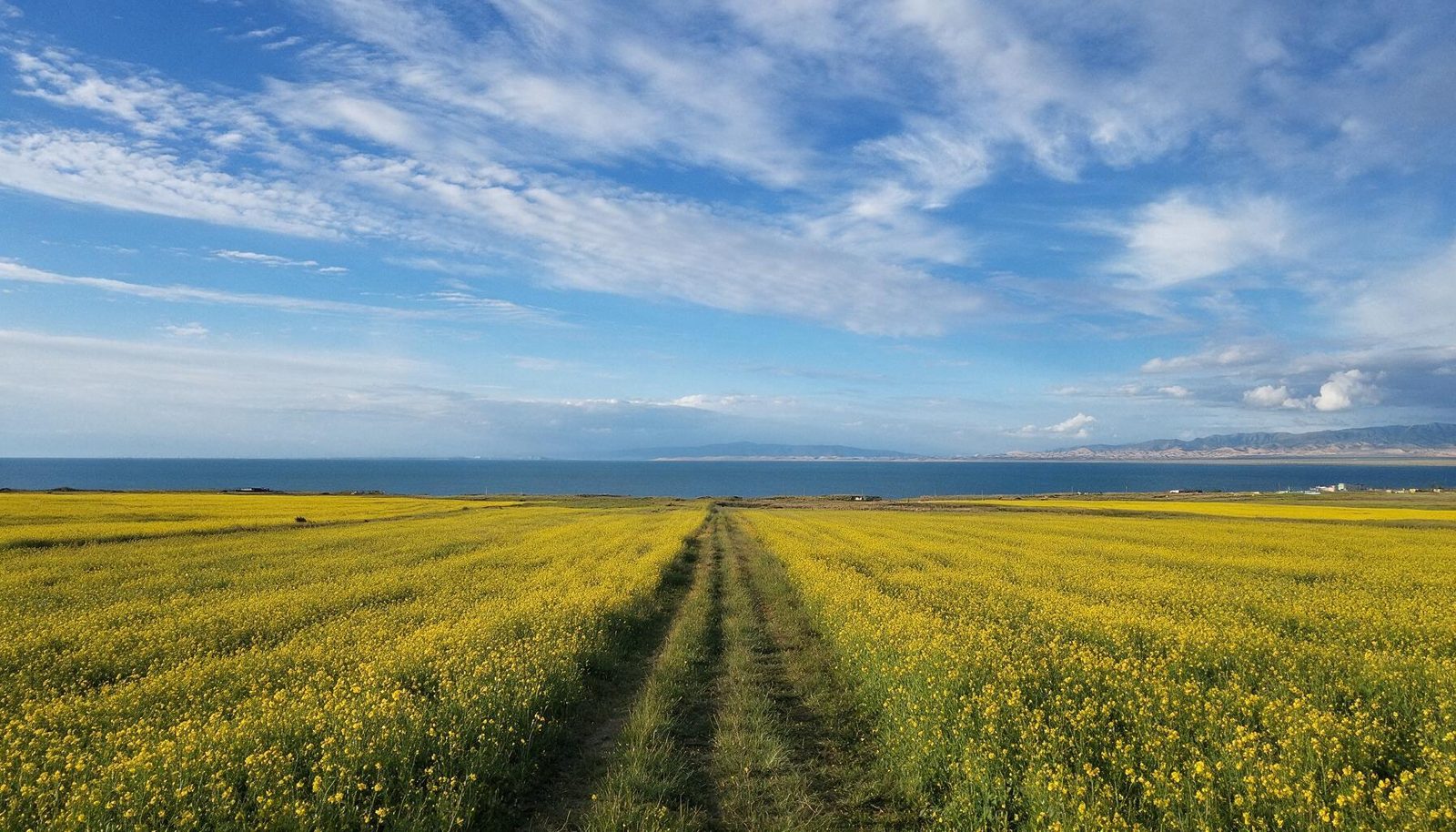 青海湖环湖西路