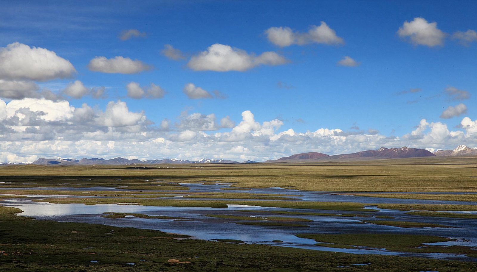 麦地卡湿地